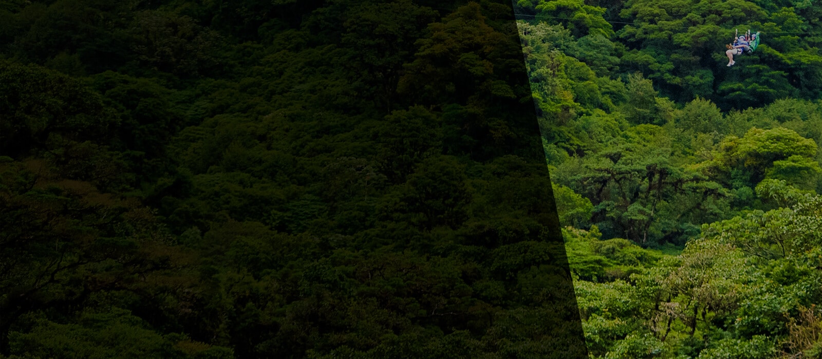 banner-slider