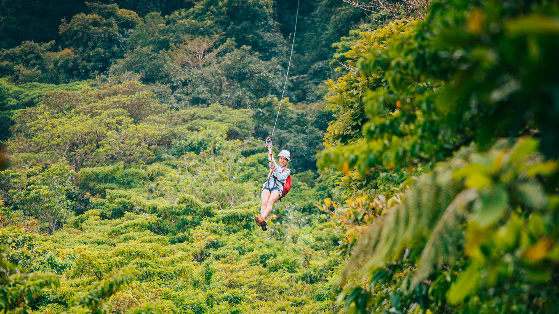 Canopy Tour