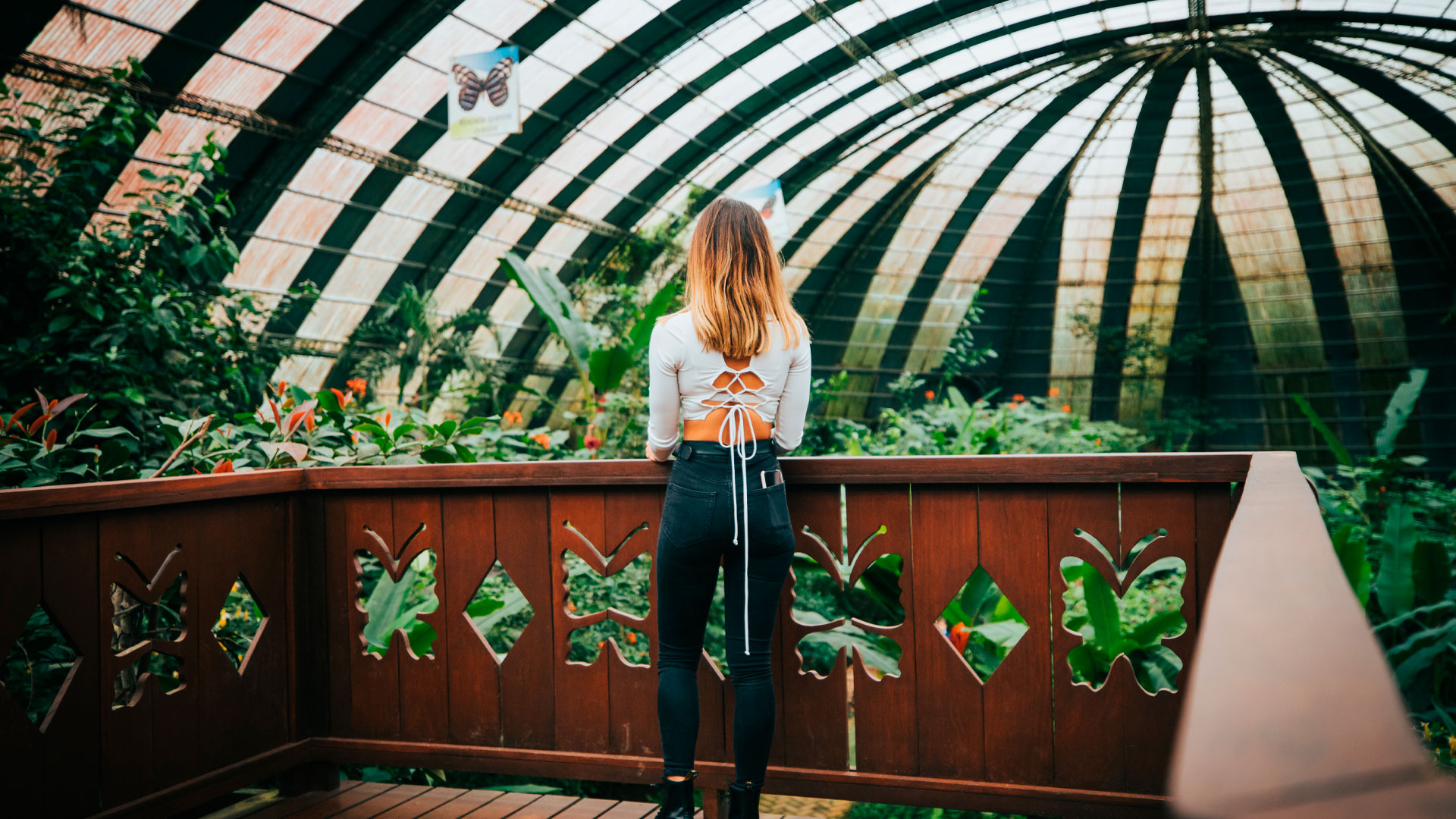 Jardín de Mariposas
